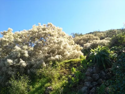 Chalet Ruta Las Lagunetas — 写真 12