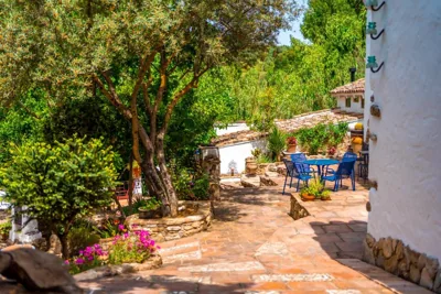 Cinco Lunas VEGETARIAN Retreat Oasis — foto 12