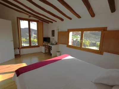 Clos Figueras — photo 2
