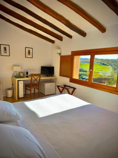 Clos Figueras — photo 7