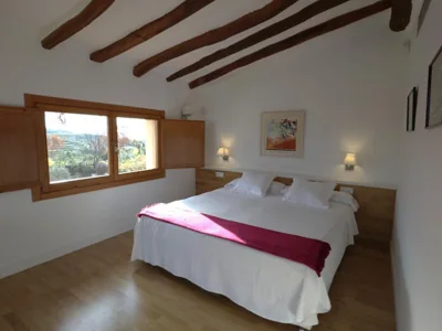 Clos Figueras — photo 11