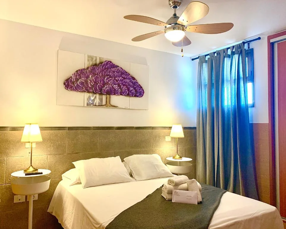 Coconut Friendly Holiday Home