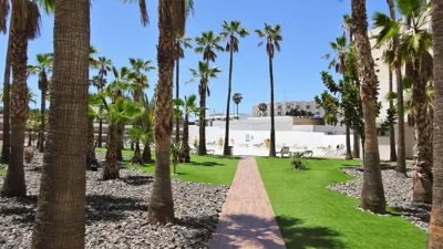 Coconut Friendly Holiday Home — Foto 7