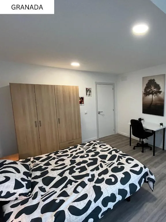 Deluxe tweepersoonskamer — CoLiving El Juan