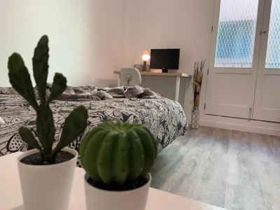 CoLiving El Toro — foto 5