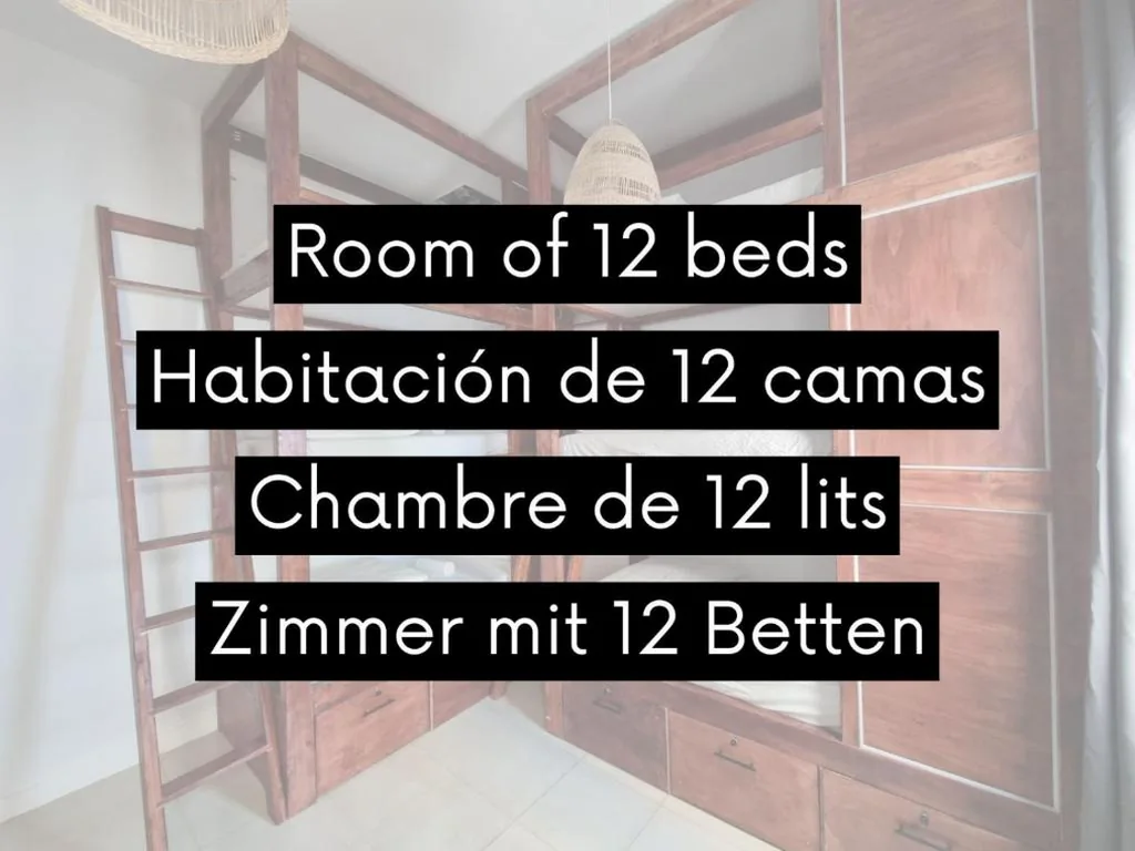 Bunk Bed in a Mixed 12-bed Dormitory Room — Compass House