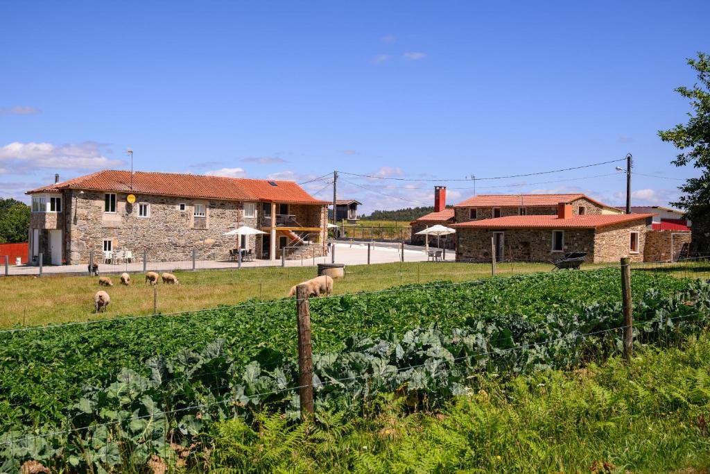 Complejo Rural Arzua San Miguel
