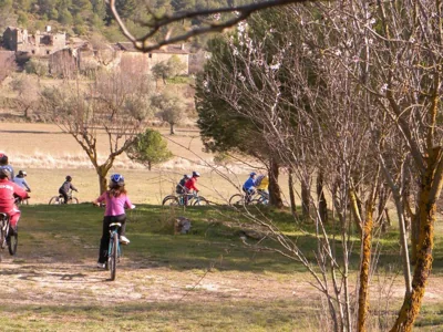 Complejo Rural Las Lomas de Biar — foto 11