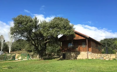 Complejo Rural Los Jarales — foto 6