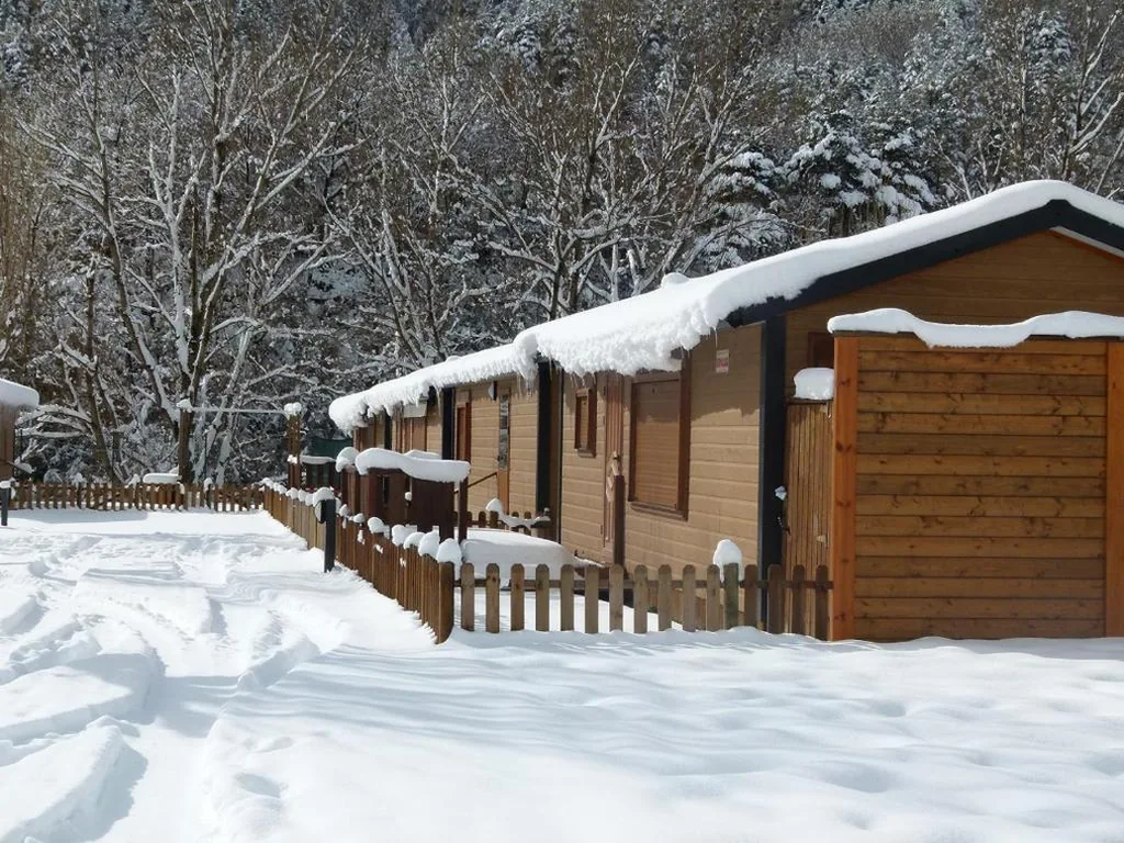 Bungalow de 2 dormitorios — Complejo Turístico Bielsa Hotel y camping