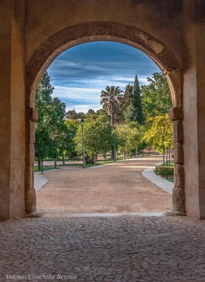 Condedu — foto 6