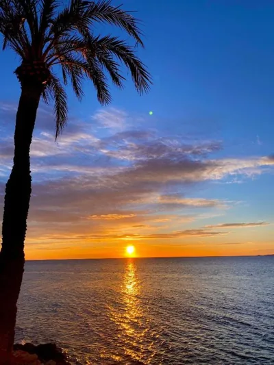 Corazón de Santa Pola — foto 6