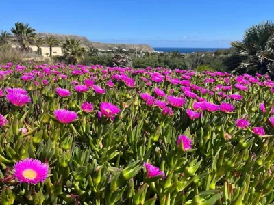 Cortijo Amara Agua — foto 9