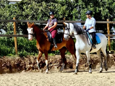 Cortijo Carrillo — foto 4