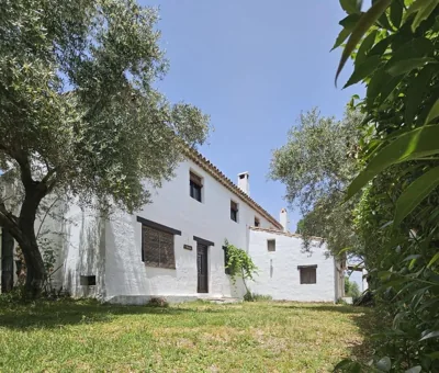 Cortijo del Cura By Travel Home — photo 5
