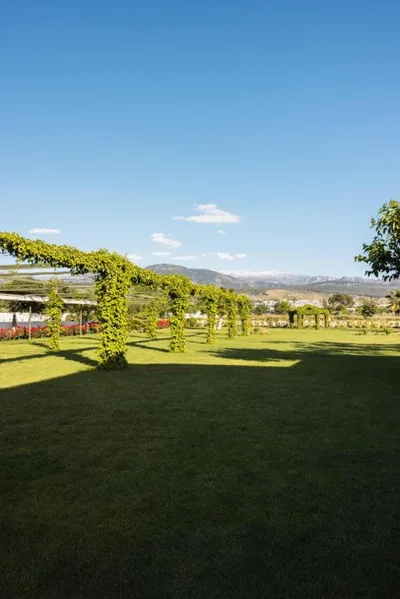Cortijo El Maizal — foto 9