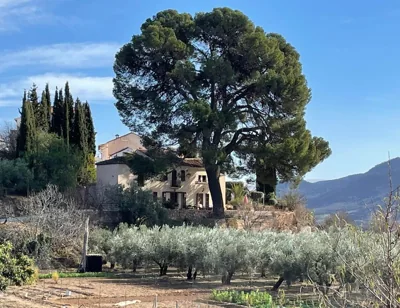 Cortijo El Pino Retreat — foto 6