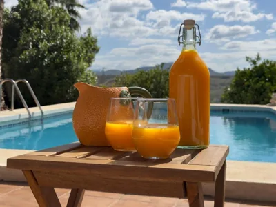 Cortijo el Sendero — foto 8