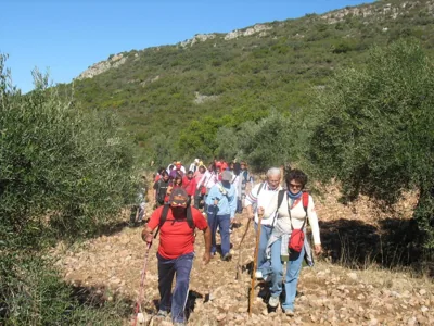 Cortijo "Era Grande 1" — foto 11