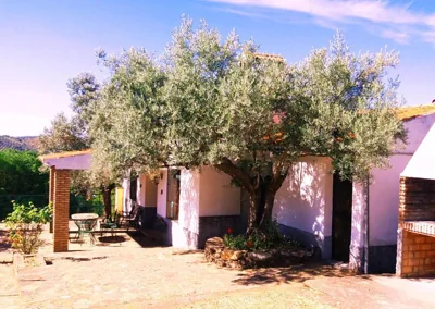 Cortijo "Era Grande 2" — foto 6