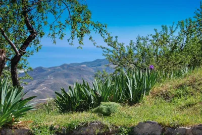 Cortijo Los Maximos — foto 9
