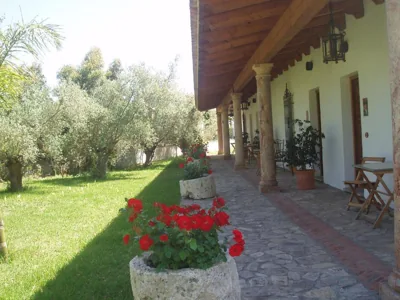 Cortijo Los Monteros — foto 10