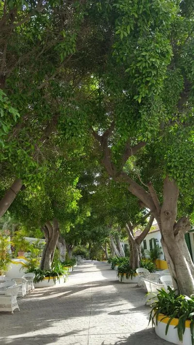 Cortijo San Ignacio — foto 11