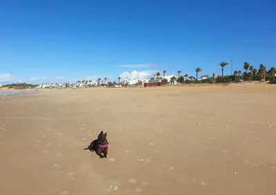 Cozy Chalet - playa a 200m — Foto 10