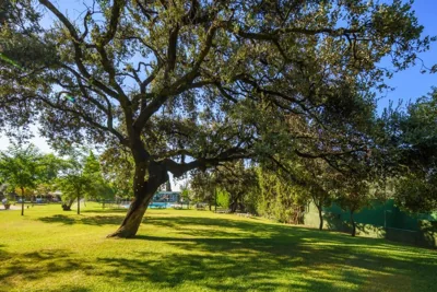 Crisol Jardines de Córdoba — foto 8