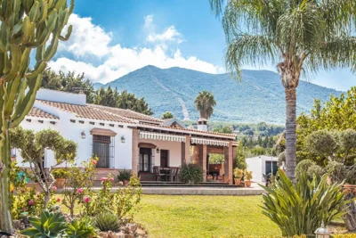 Cubo's Villa Ruiz — 写真 7