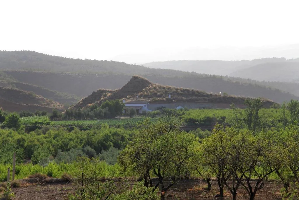 Casa con 4 camere da letto — Cuevas Cañada de las Piedras