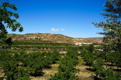 Cuevas Cortijo El Capellán — foto 12