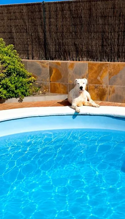 Dar Nur villa Ideal for Families, Couples, and digital Nomads with Private Pool BBQ Solarium — foto 6