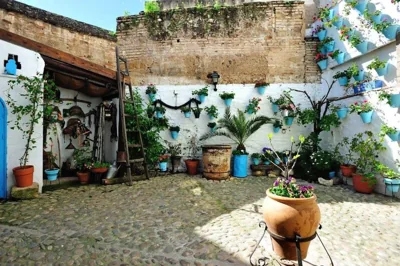 De Patios — 照片 8