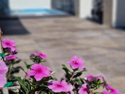 Del Parque Flats Balneario de Pina — photo 9