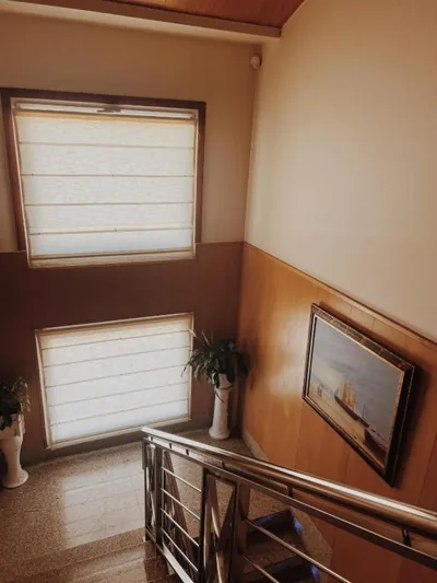 Doade — Foto 5