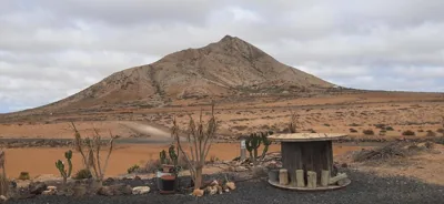 Dos Gatos Fuertaventura — foto 10