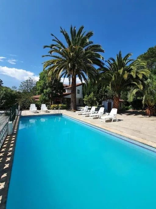 Villa — Dreams and friends on the coast of Bilbao.