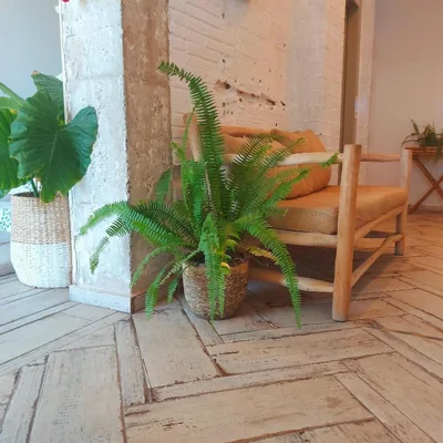 Duna Hotel Boutique — photo 5