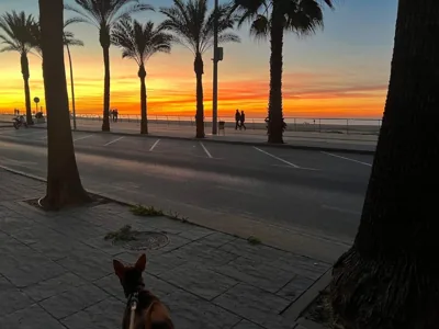 Dúplex junto a la playa — foto 9