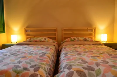 Eco dos Teixos — Foto 10