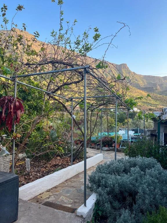 Etagenbett im Frauenschlafsaal — Eco Finca Mogan, Hostel and Apartment