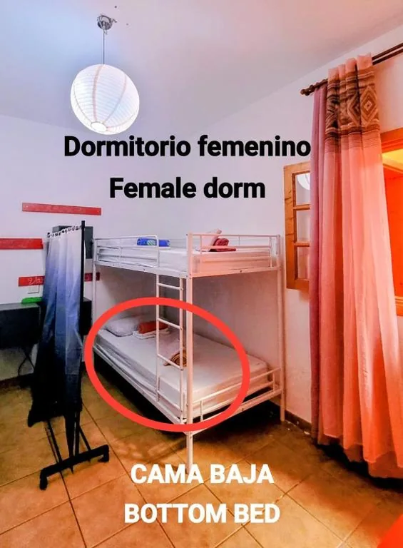 Eenpersoonsbed in gedeelde slaapzaal voor vrouwen — Eden GuestHouse