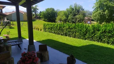 EL ABEDUL — Foto 10