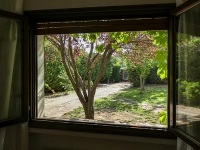 EL ALJEZAR — foto 12