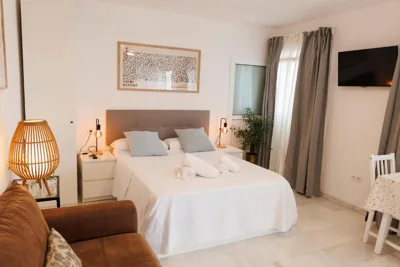 El ático de Osario 5 con terraza - Great location — foto 10