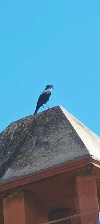 El balcón de Alange — foto 11