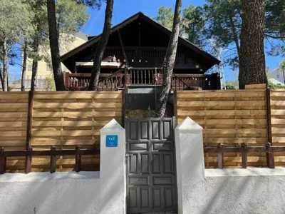 EL BOSQUE ENCANTADO — foto 9