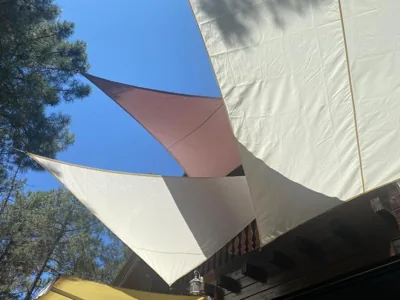 EL BOSQUE ENCANTADO — foto 11