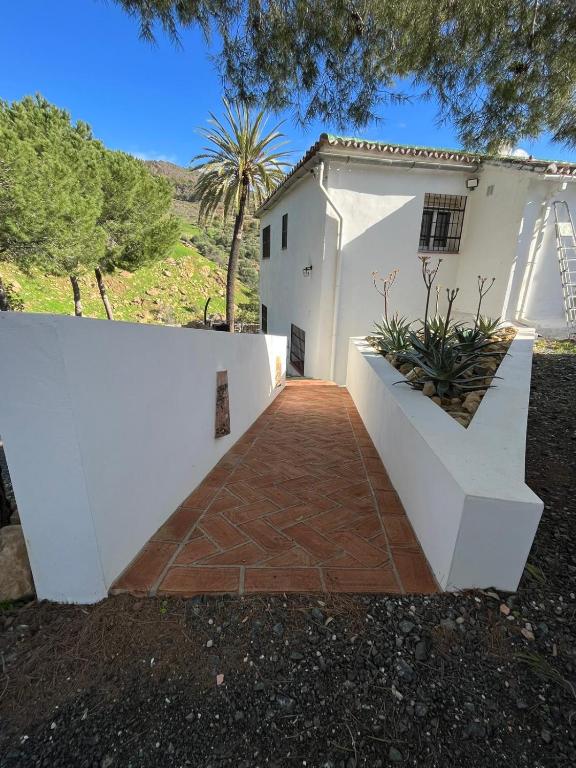El bufon de la corte